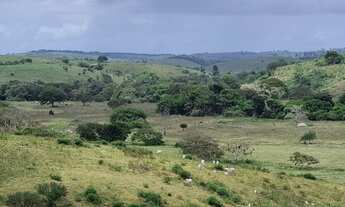 Imagem 2: Fazenda Em Umbauba