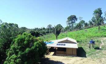 Imagem 3: Fazenda em Altamira-PARÁ