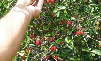 Imagem 2: Casa em condomínio fechado