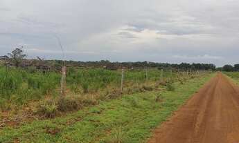 Imagem 4: Fazenda para Venda em Marianópolis do Tocantins, Marianopolis