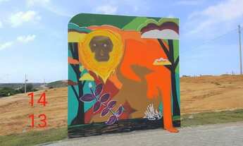 Imagem 2: Terreno no Buritis 2