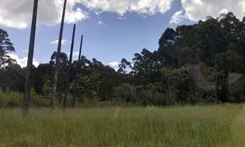 Imagem 2: Lote/Terreno para venda possui 12483 metros quadrados em Terra Preta (Terra Preta) - Mairi