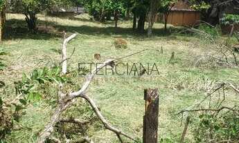 Imagem 7: BORDA DA MATA - Terreno Padrão - Santa Rita