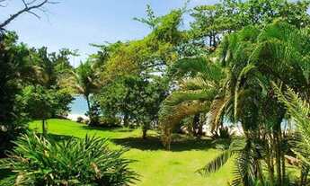 Imagem 3: Terreno à venda, 904 m² por R$ 1.150.000,00 - Lagoinha - Ubatuba/SP