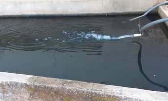 Imagem 5: Chácara Chácara com venda por R$160.000