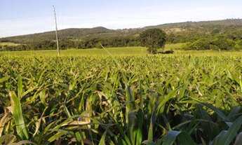 Imagem 2: Fazenda/Sítio/Chácara para venda tem 241000 metros quadrados em Zona Rural - Cristianópoli