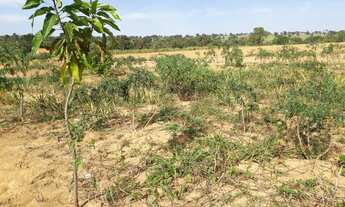 Imagem 4: Chácara no rio negro ms