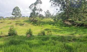 Imagem: Área à venda, 339928 m² por R$ 4.000.000,00