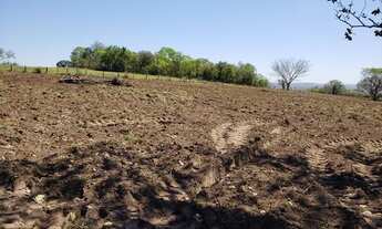 Imagem 2: Fazenda 2.427 hectares 71 km da Br 262