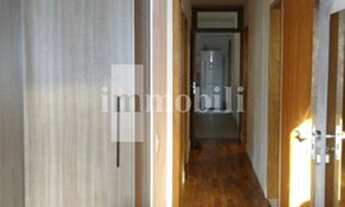 Imagem 6: CASA TÉRREA NO MIOLO DA GRANJA - COMERCIAL OU RESIDENCIAL