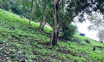 Imagem 6: Sítio com 14 hectares contendo cachoeiras na Serra Gaúcha