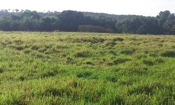 Imagem 4: Fazenda Rio Claro