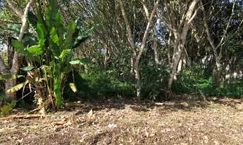 Imagem 4: Terreno à venda, 480 m² por R$ 450.000,00 - São Lourenço - Bertioga/SP