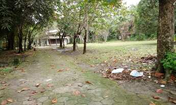 Imagem 2: ÓTIMO TERRENO NA BR 316 KM 30