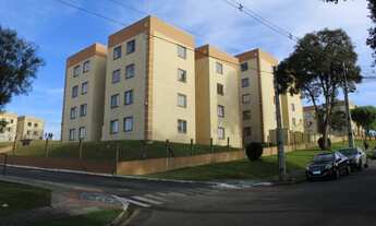 Imagem 6: Apartamento - Rua David Bodziak, 1180 - Cachoeira - Curitiba PR