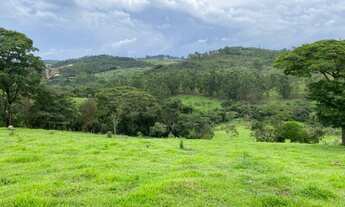 Imagem 10: Fazendinha em Itatiaiuçu - 12 Hectares - Rica em água