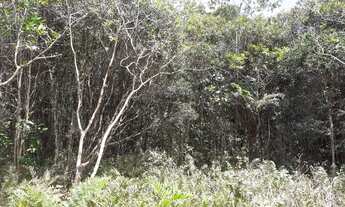 Imagem 6: Ótimo Terreno na Área Rural de Itanhaém 38,75m X 65.10m