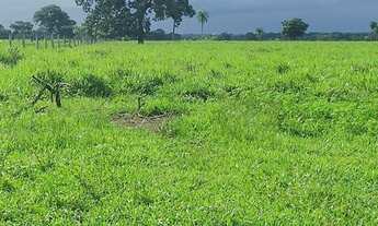 Imagem: Fazenda para Venda em Marianópolis do Tocantins
