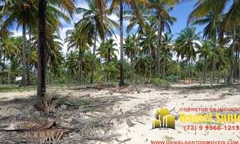 Imagem 3: AREA RURAL em PORTO SEGURO - BA, área pé na areia - Porto Seguro