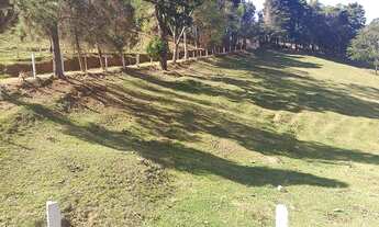 Imagem 5: Fazenda/Sítio/Chácara para venda possui 5000 metros quadrados com 3 quartos