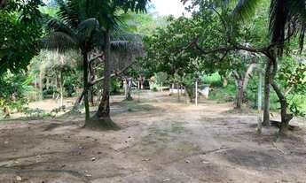 Imagem: Sitio a venda com 3 hectares em Barra do