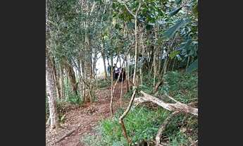 Imagem 2: Lote/Terreno para venda tem 600m²