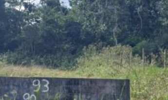 Imagem 3: Terreno à venda para Residência na Tabatinga