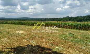 Imagem: Sitio Com 13,5 Alqueires no Município de