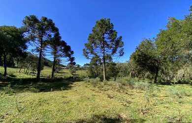 Imagem 6: Urubici/Área rural de 6.9 Hectares ás margens da SC-110, sentido São Joaquim