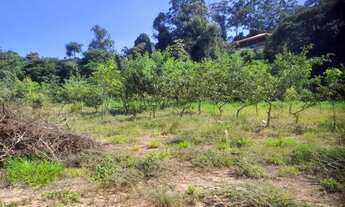 Imagem 2: Chácara com 3 dormitórios à venda, 17000 m² por R$ 4.500.000,00 - Chácaras São Bento - Val