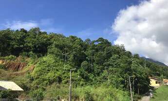 Imagem 2: GUARAMIRIM - Terreno Padrão - Figueirinha