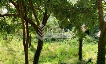 Imagem 6: Terreno rua valorizada no bairro Conego