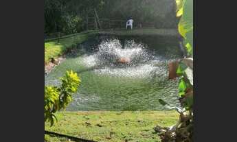 Imagem 2: Chácara com corrego no fundo