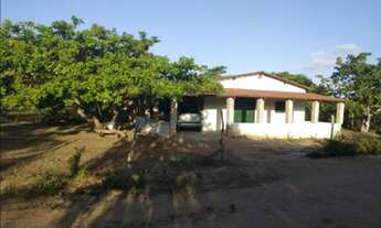 Imagem 4: Casa em pureza rn