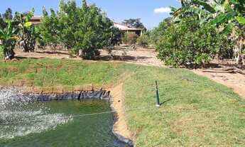 Imagem 4: Chácara com corrego no fundo