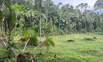 Imagem: Pomerode - Sítio - Testo Central