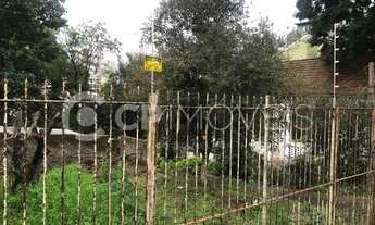 Imagem 4: PORTO ALEGRE - Terreno Padrão - Cristo Redentor