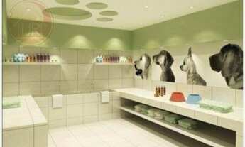 Imagem 7: Apartamento em Vila Santo Antônio - Guarulhos