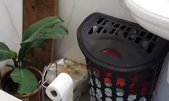 Imagem 6: Apartamento 1 Quarto na Glória