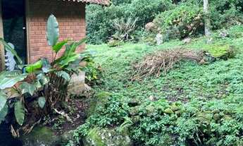 Imagem 3: Sítio com 14 hectares contendo cachoeiras na Serra Gaúcha