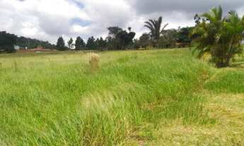 Imagem 3: TERRENO EM CANGUERA