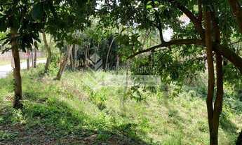 Imagem 4: Terreno rua valorizada no bairro Conego