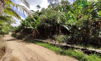 Imagem 6: Sítio à venda, 30142 m² por R$ 190.000,00 - Patrimônio - Massaranduba/SC