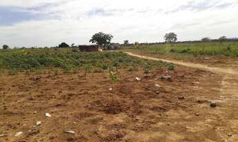 Imagem 6: Chácara no rio negro ms