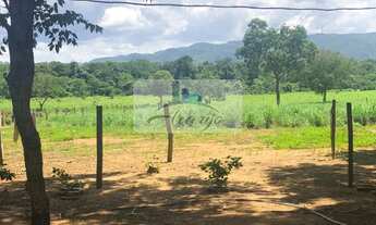 Imagem 2: Palmas - Chácara - Taquarussu