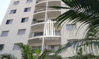 Imagem 6: Oportunidade Bela vista