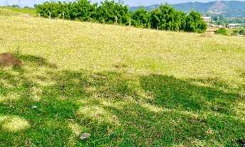 Imagem 4: R11- Vendo terreno proximo ao asfalto