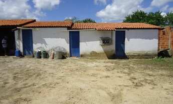 Imagem 3: Terreno Comercial para Venda em São Gonçalo do Amarante, VIOLETE