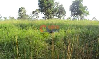 Imagem 3: Gravataí - Sítio - Neópolis