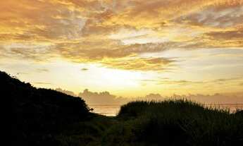 Imagem 1: Casa de condomínio para venda Morro das Pedras, frente mar